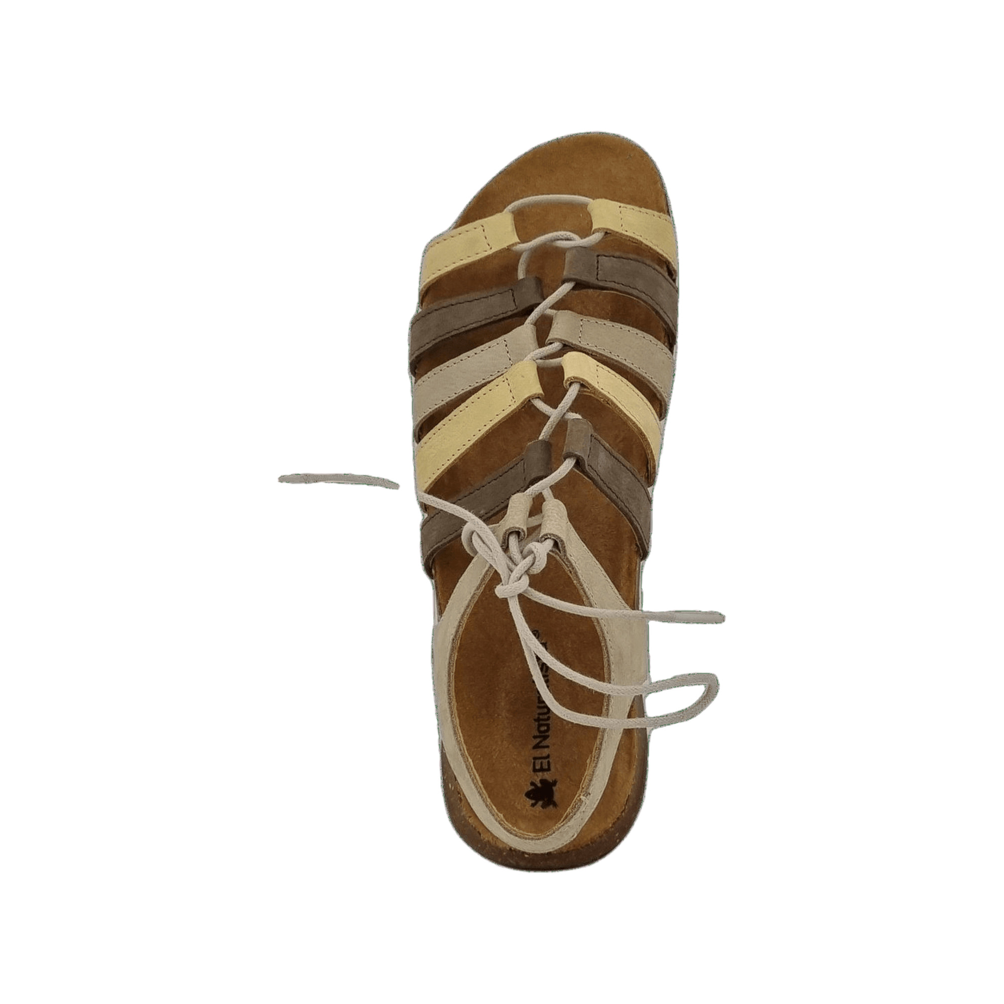 El Naturalis Wakataua