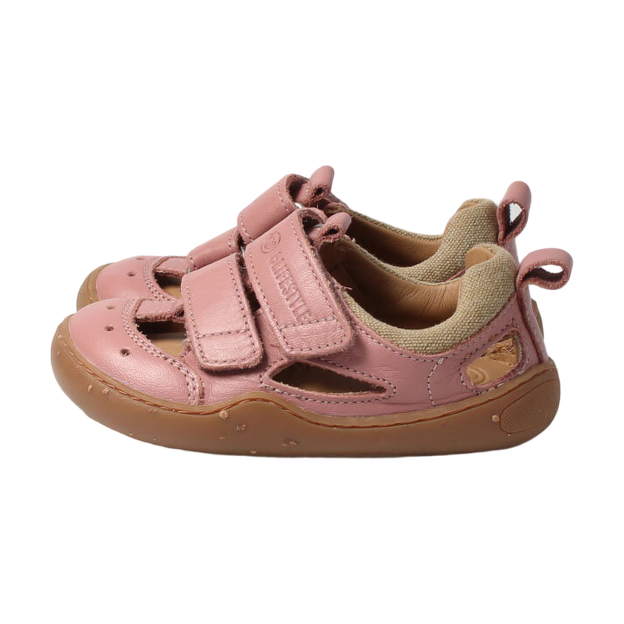 bLIFESTYLE Salamandra