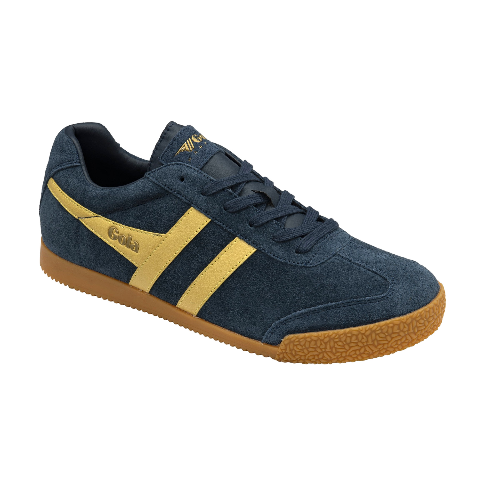 Gola Harrier