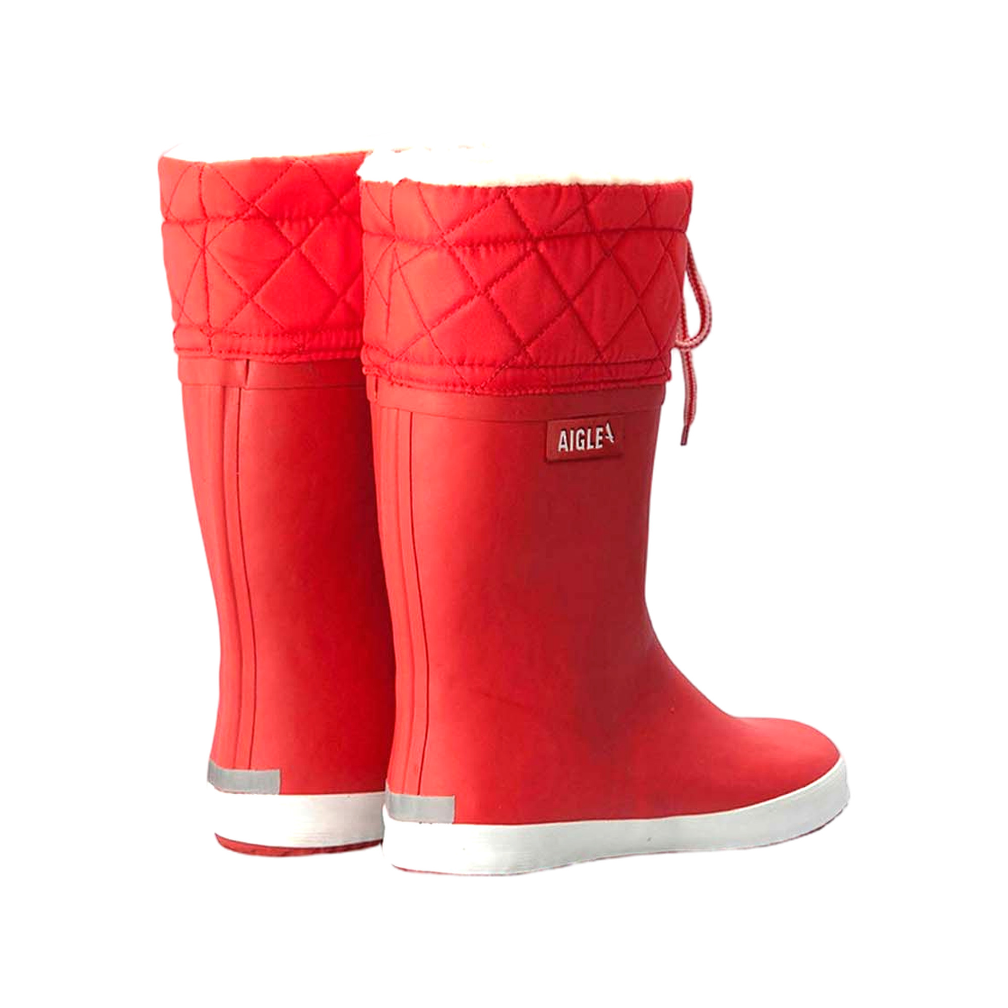 Aigle Giboulee