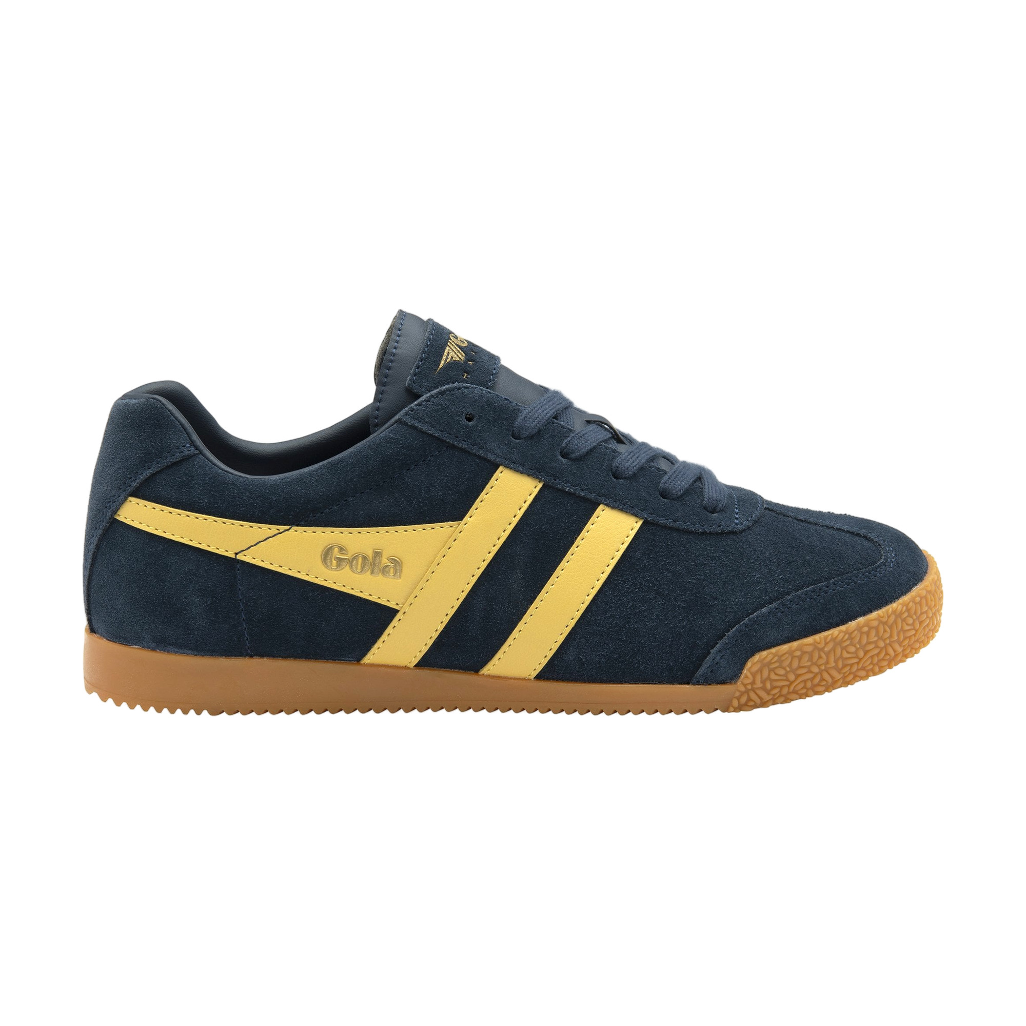 Gola Harrier