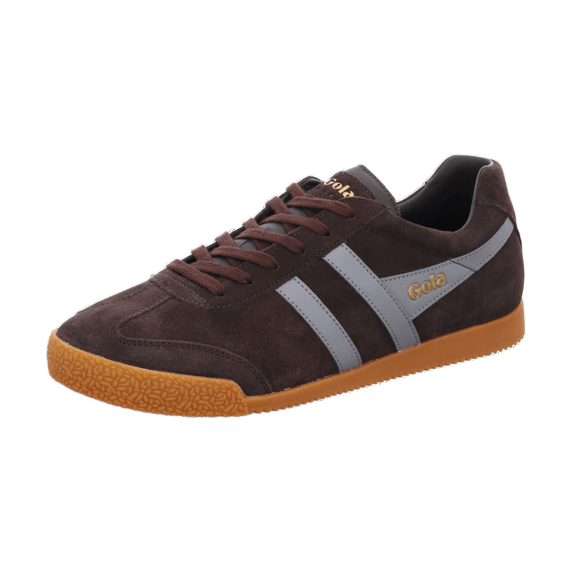Gola Harrier