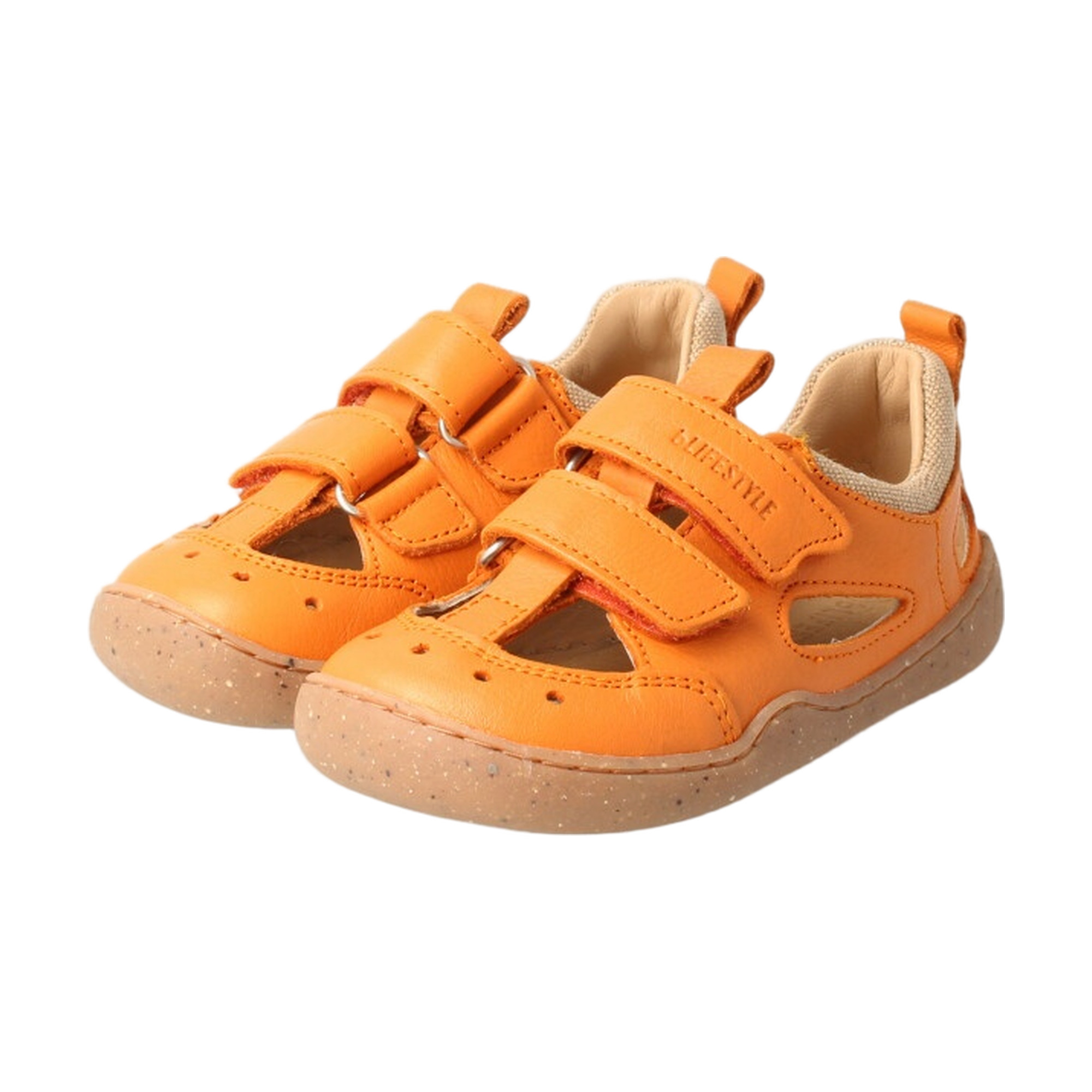 bLIFESTYLE Kammmolch