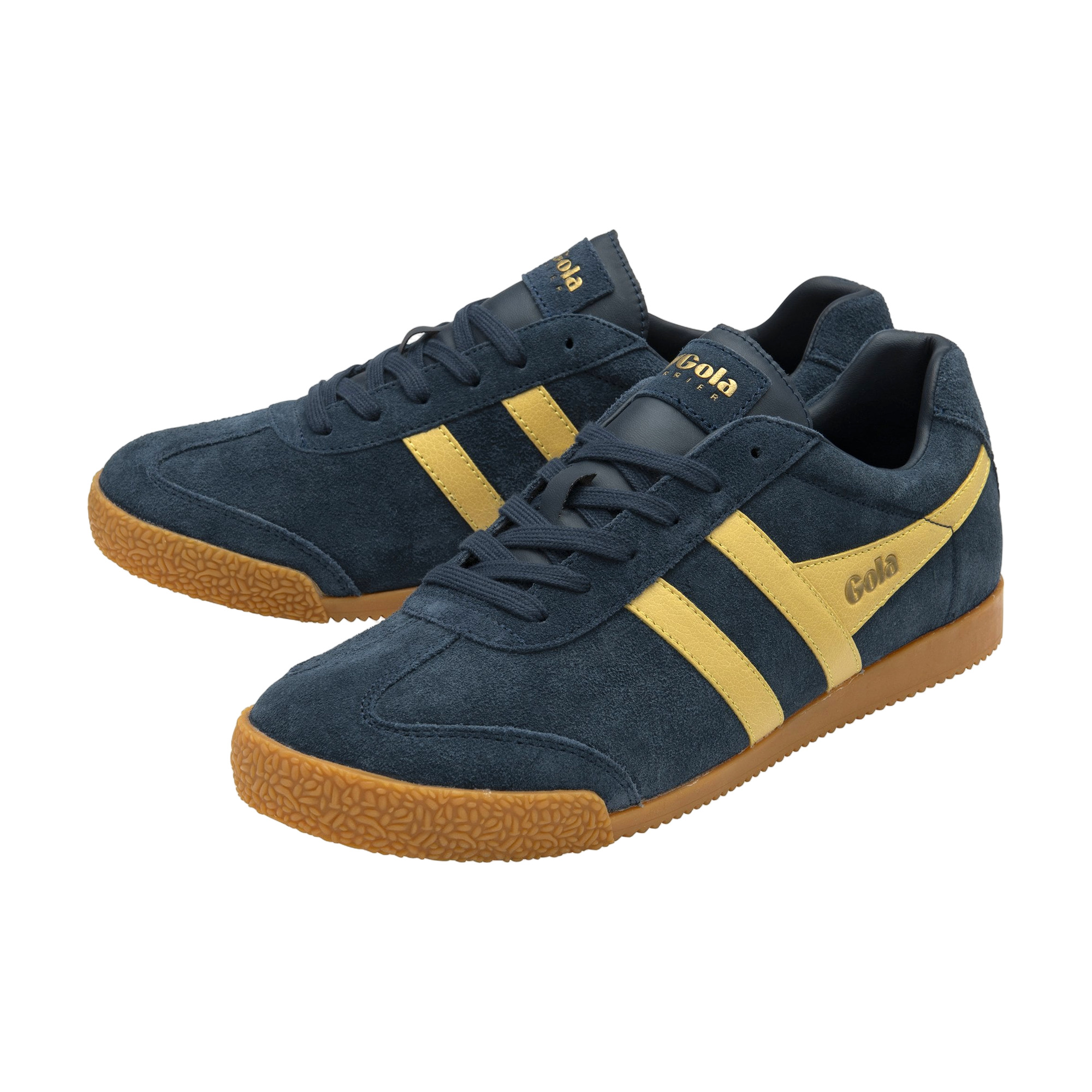 Gola Harrier