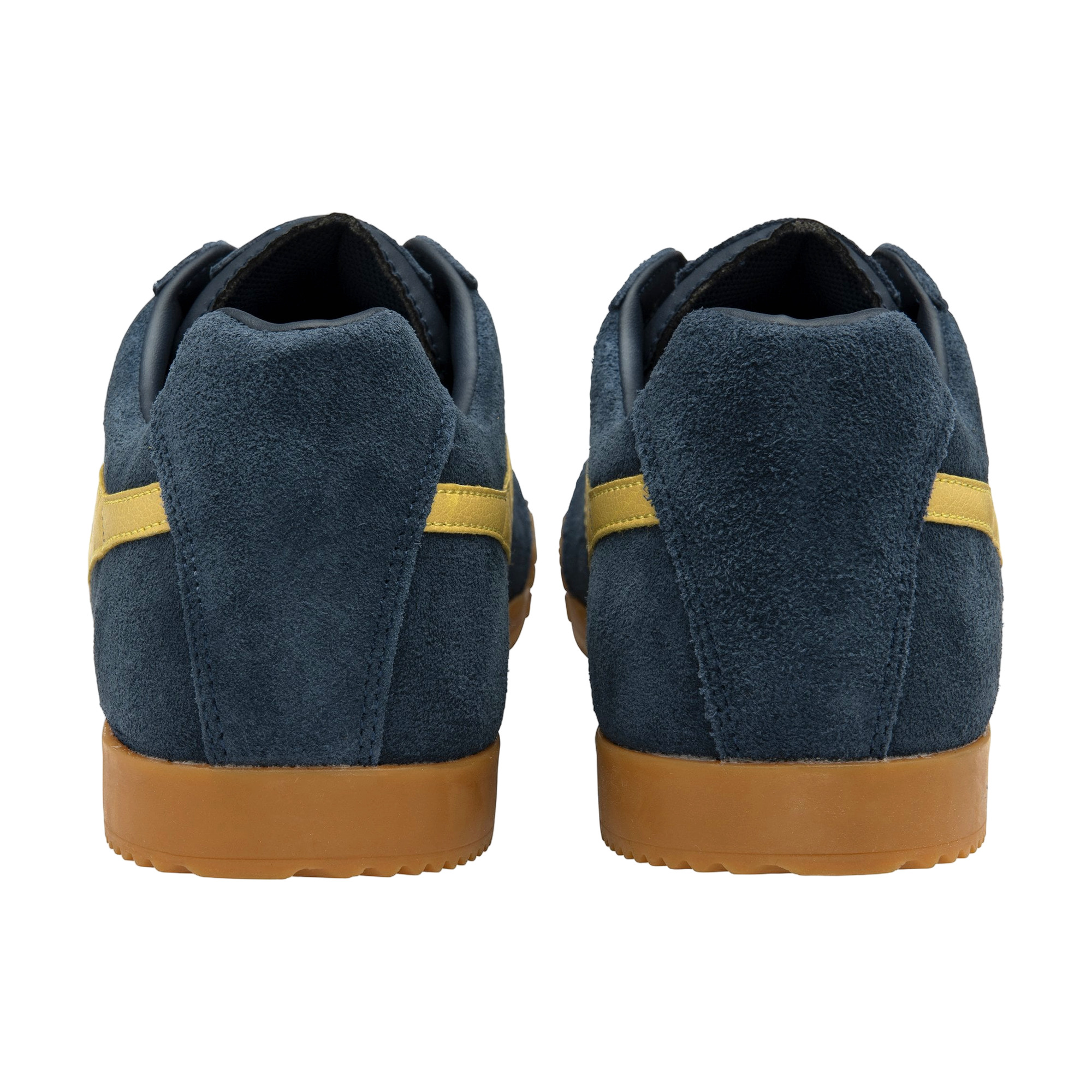 Gola Harrier