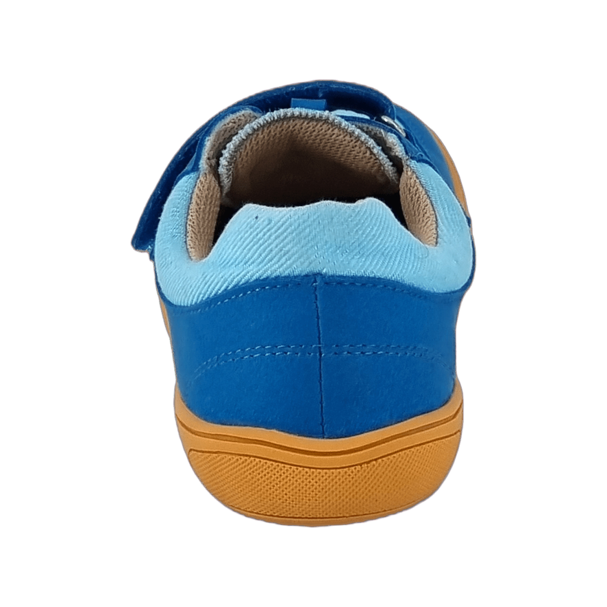 bLIFESTYLE Crocodile