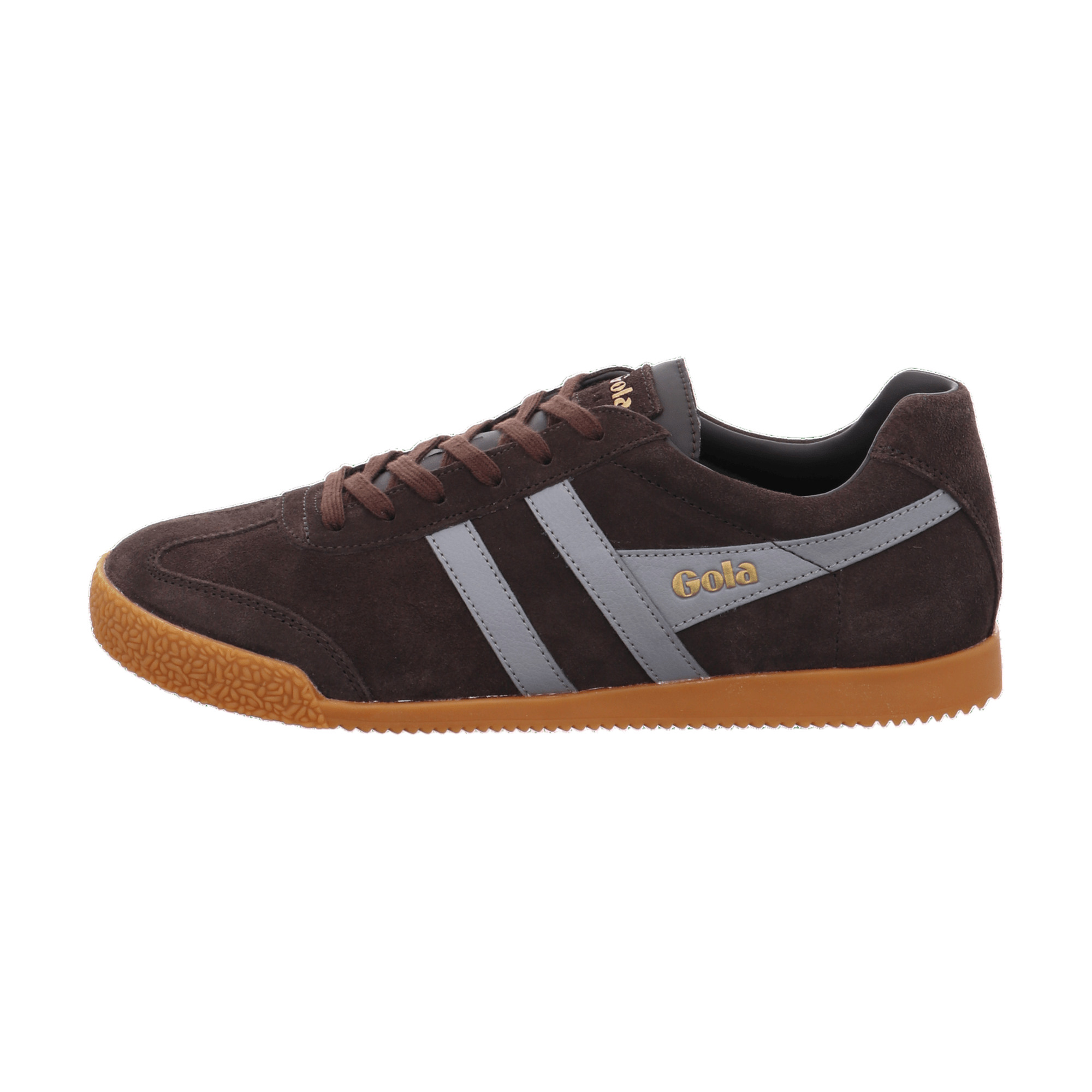 Gola Harrier
