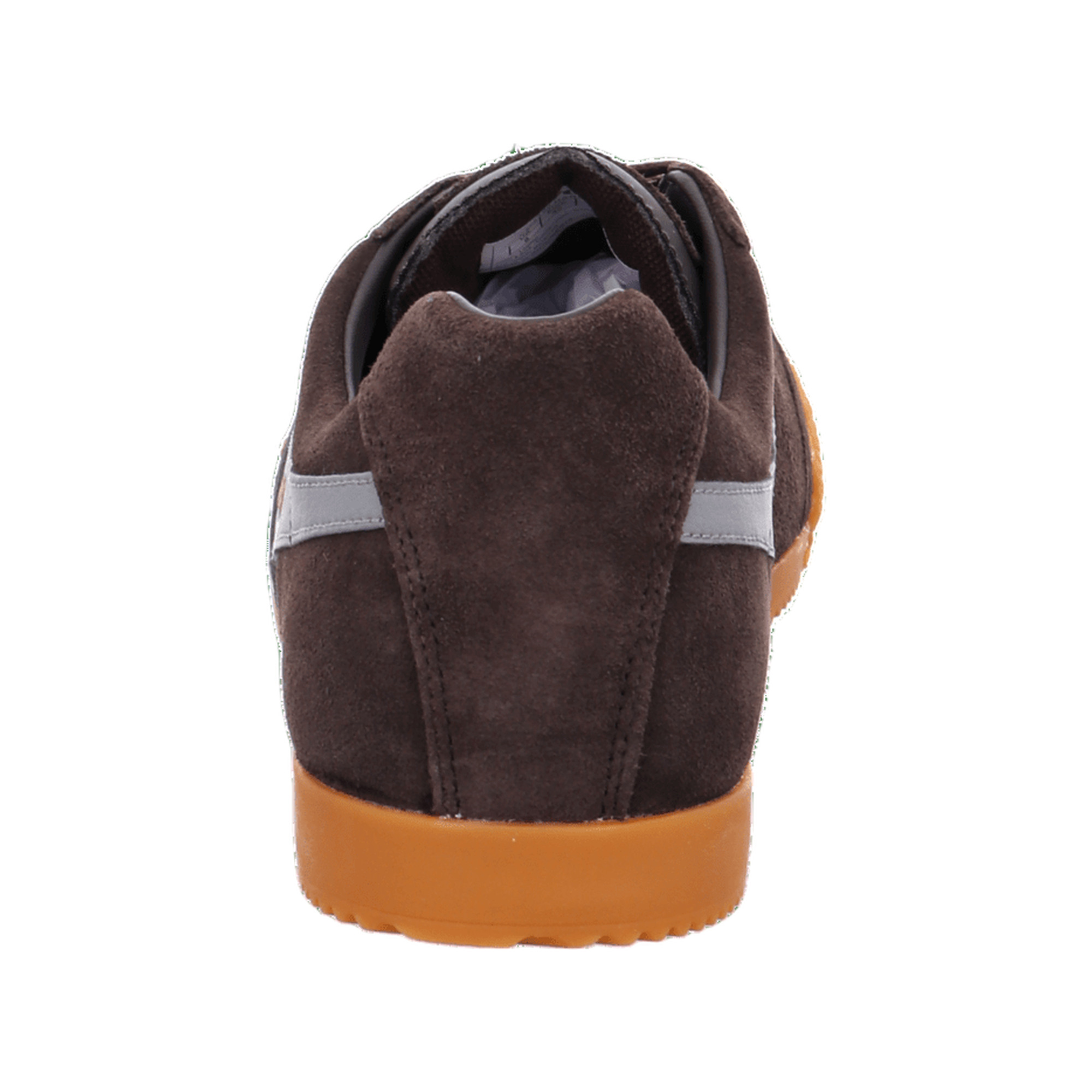 Gola Harrier