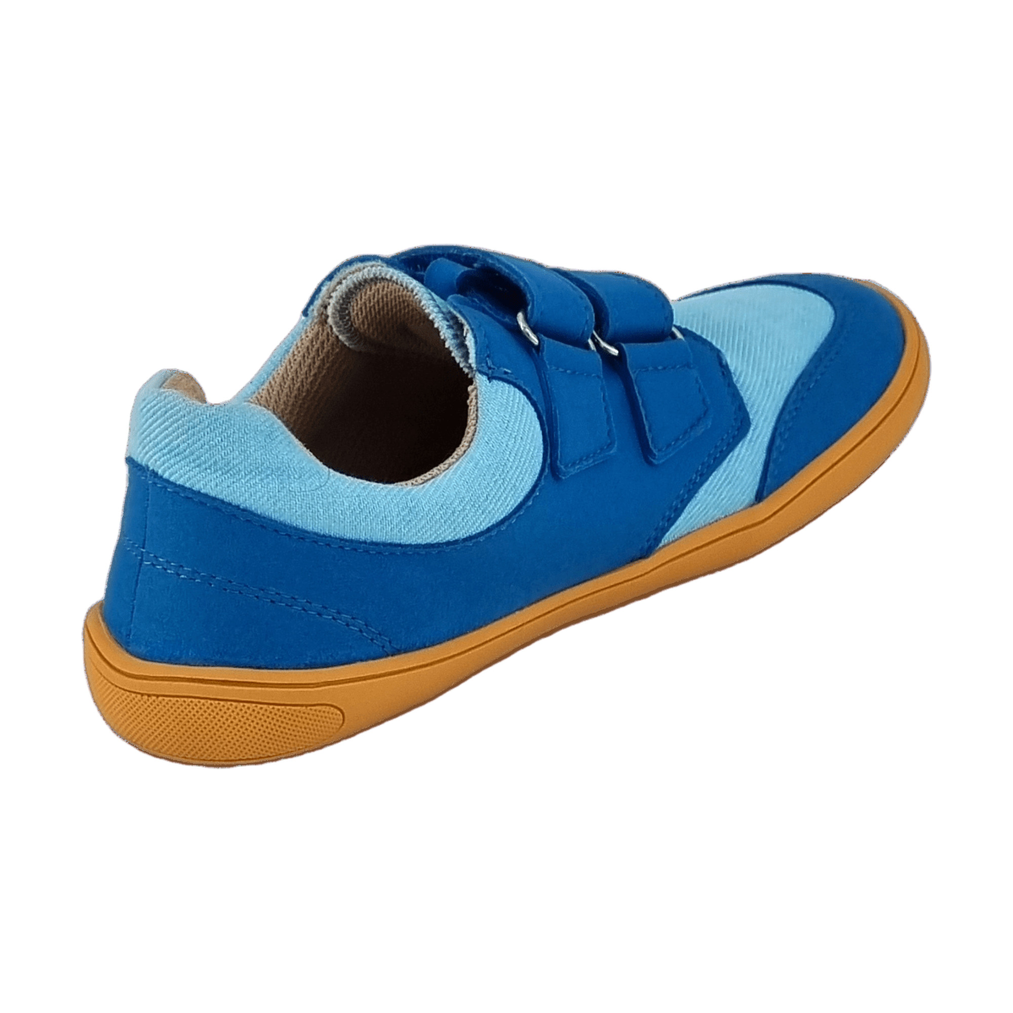 bLIFESTYLE Crocodile