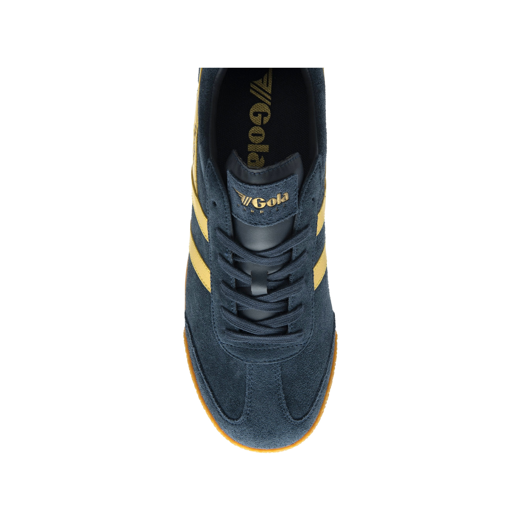Gola Harrier