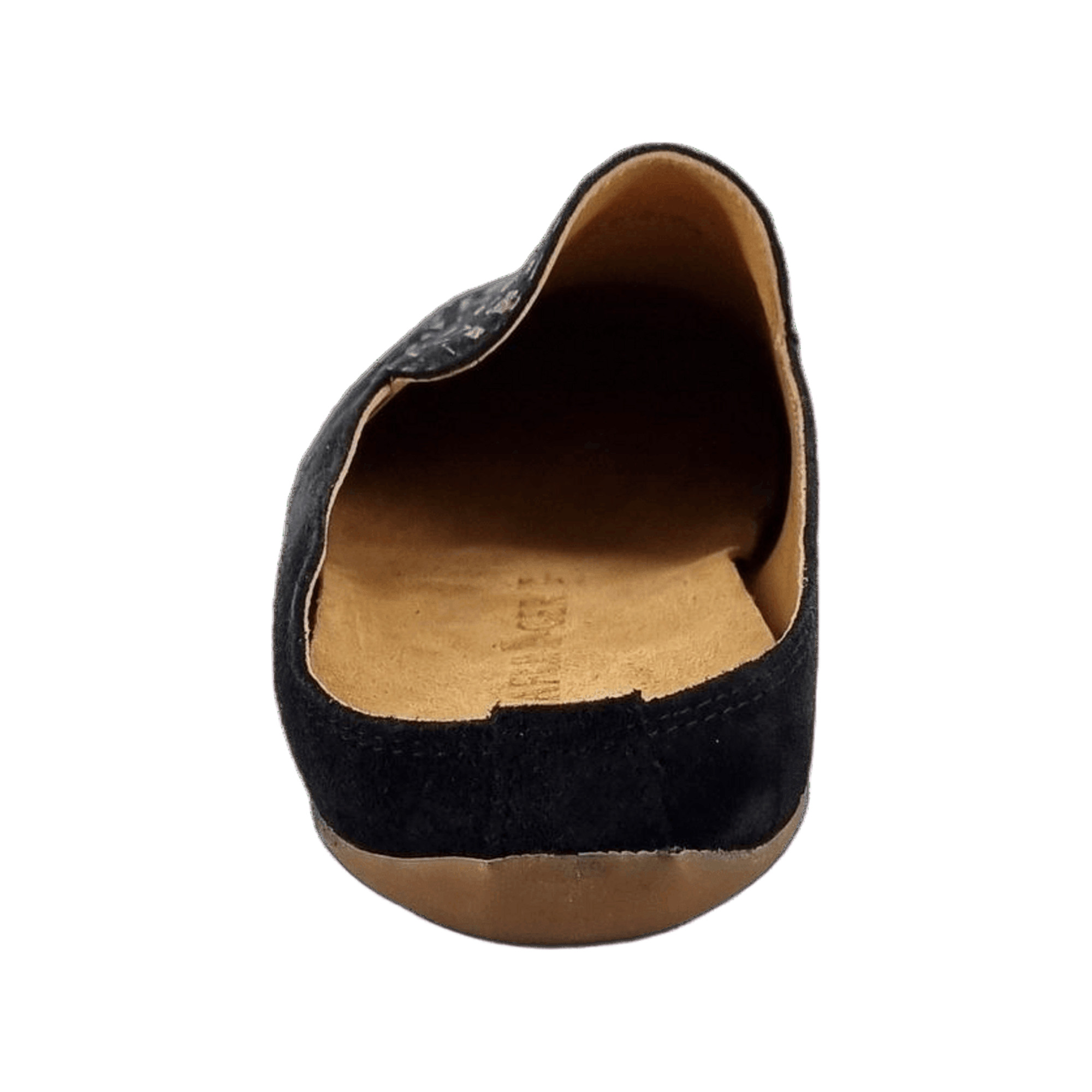 Haflinger Everest Pantino