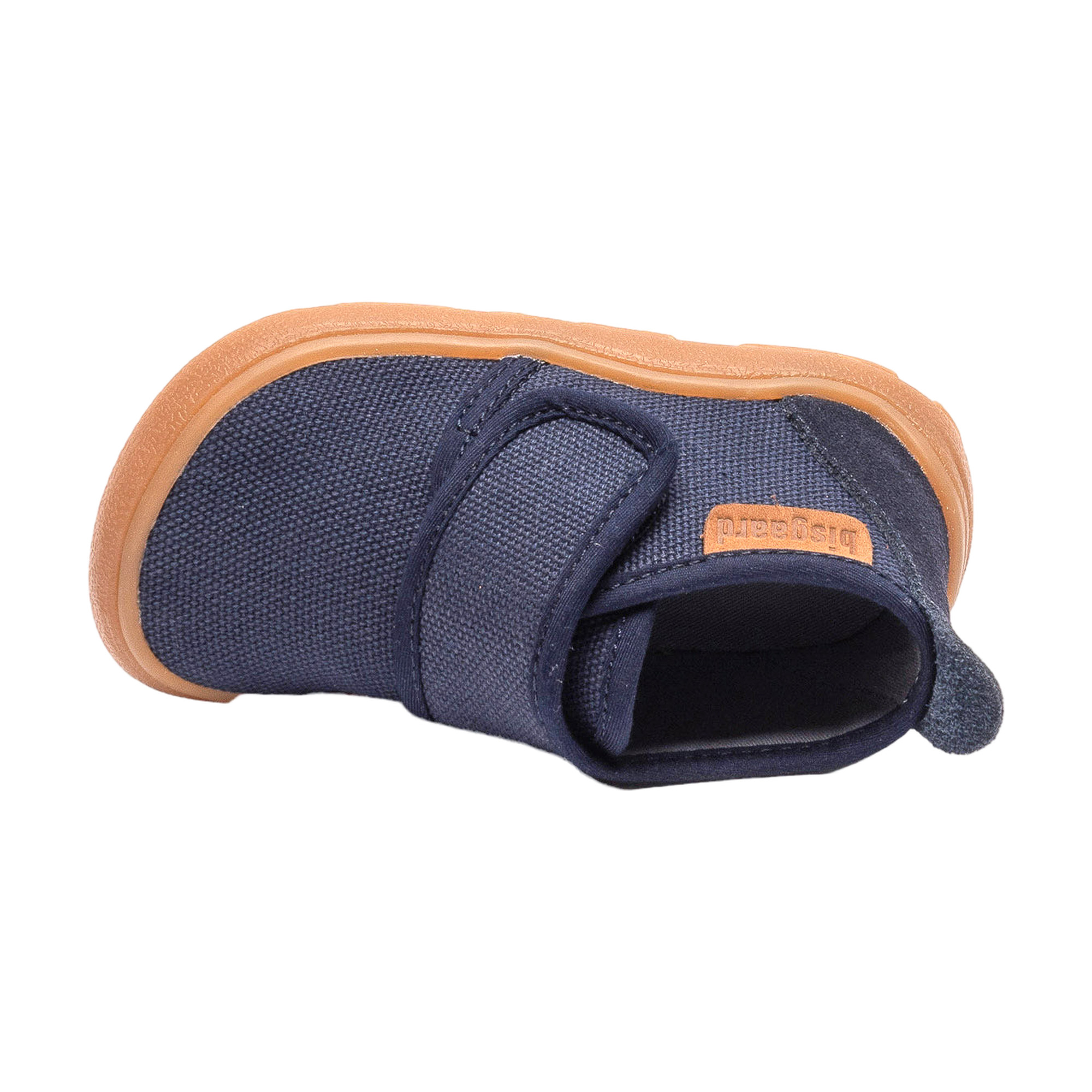 Bisgaard basic