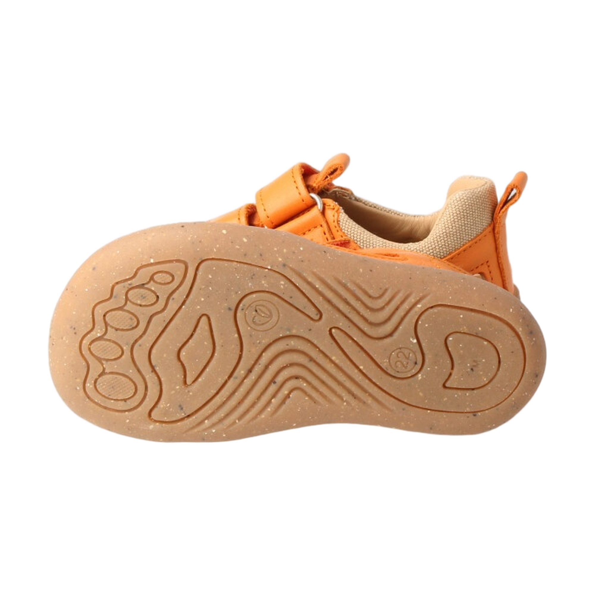 bLIFESTYLE Kammmolch