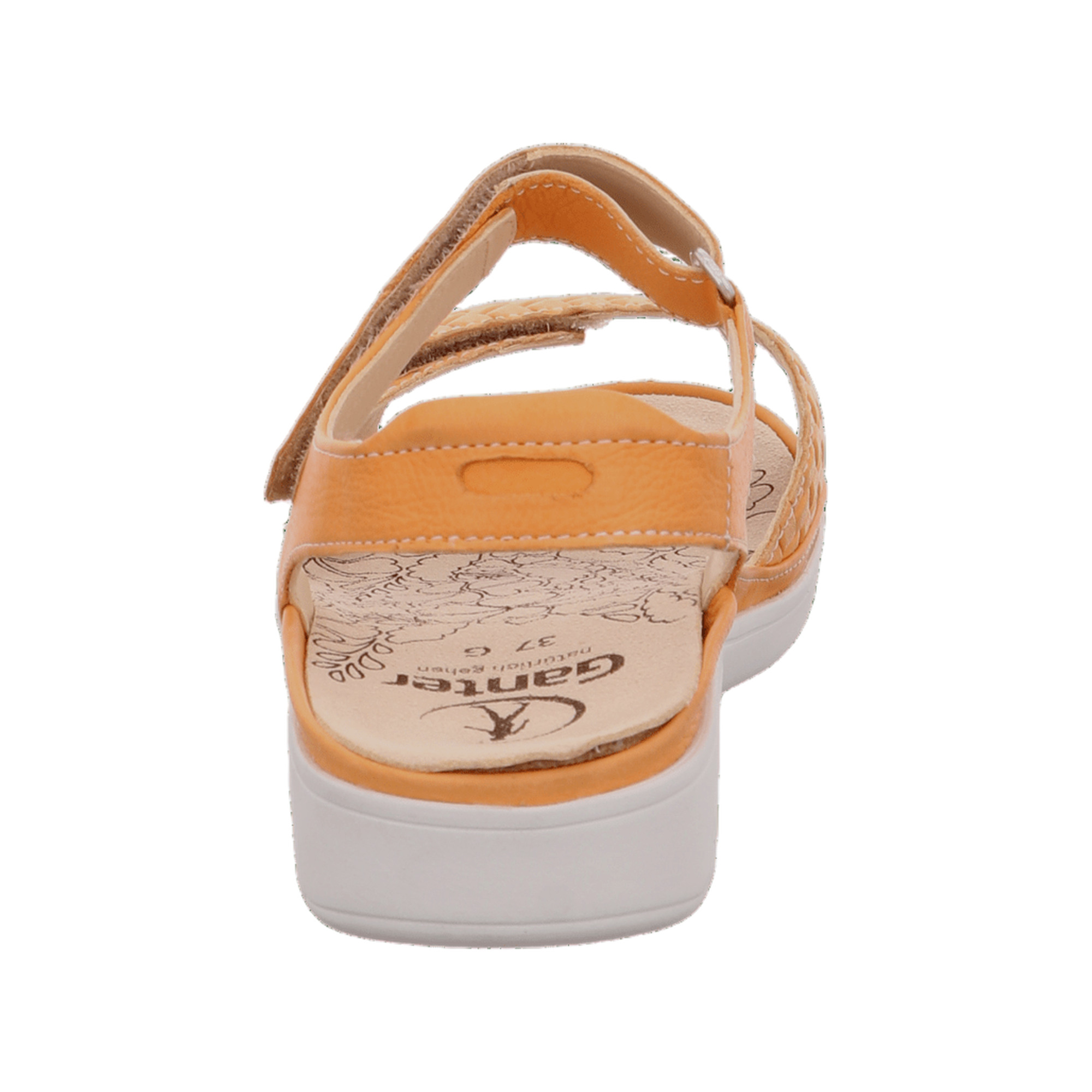 GANTER Gina