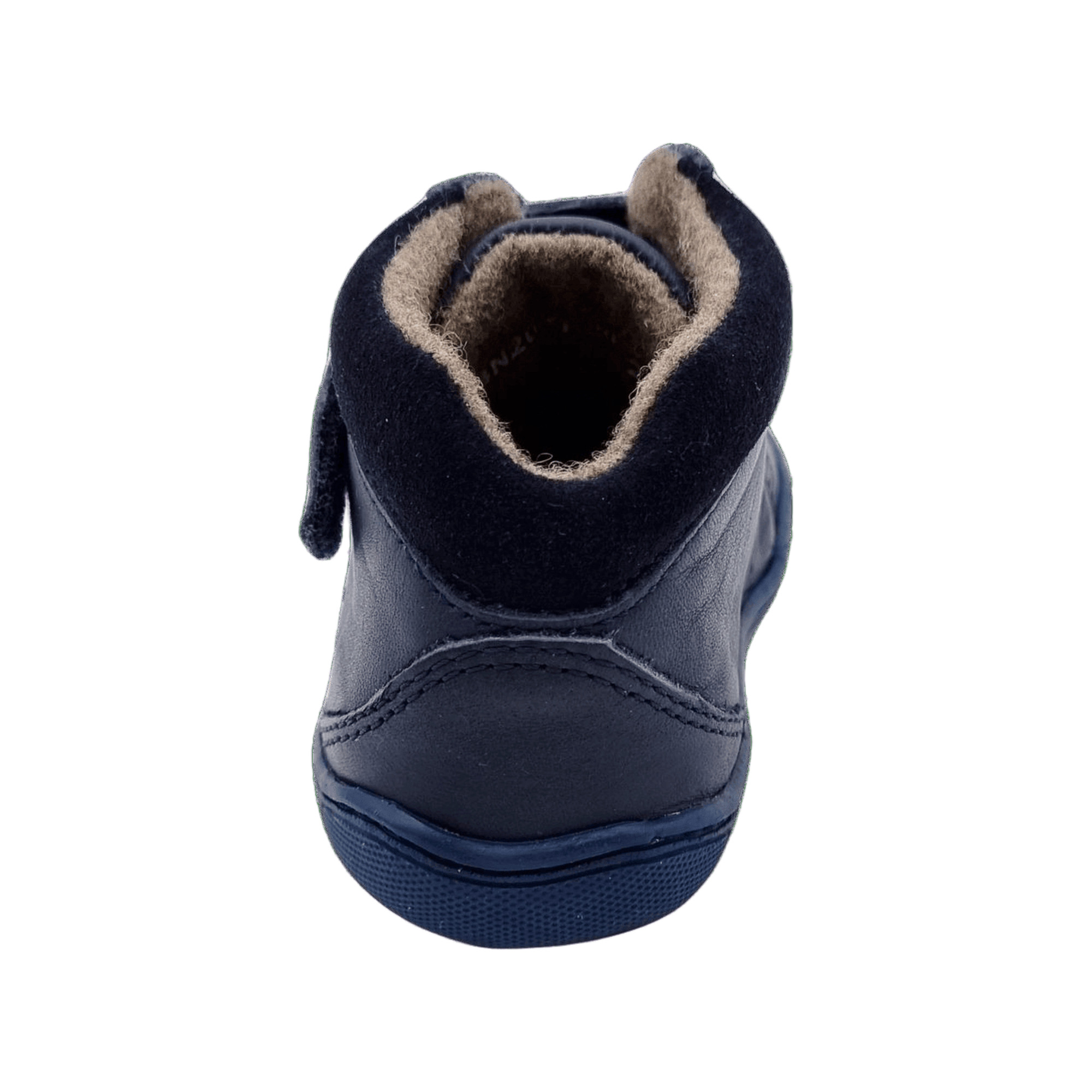 bLIFESTYLE Raccoon