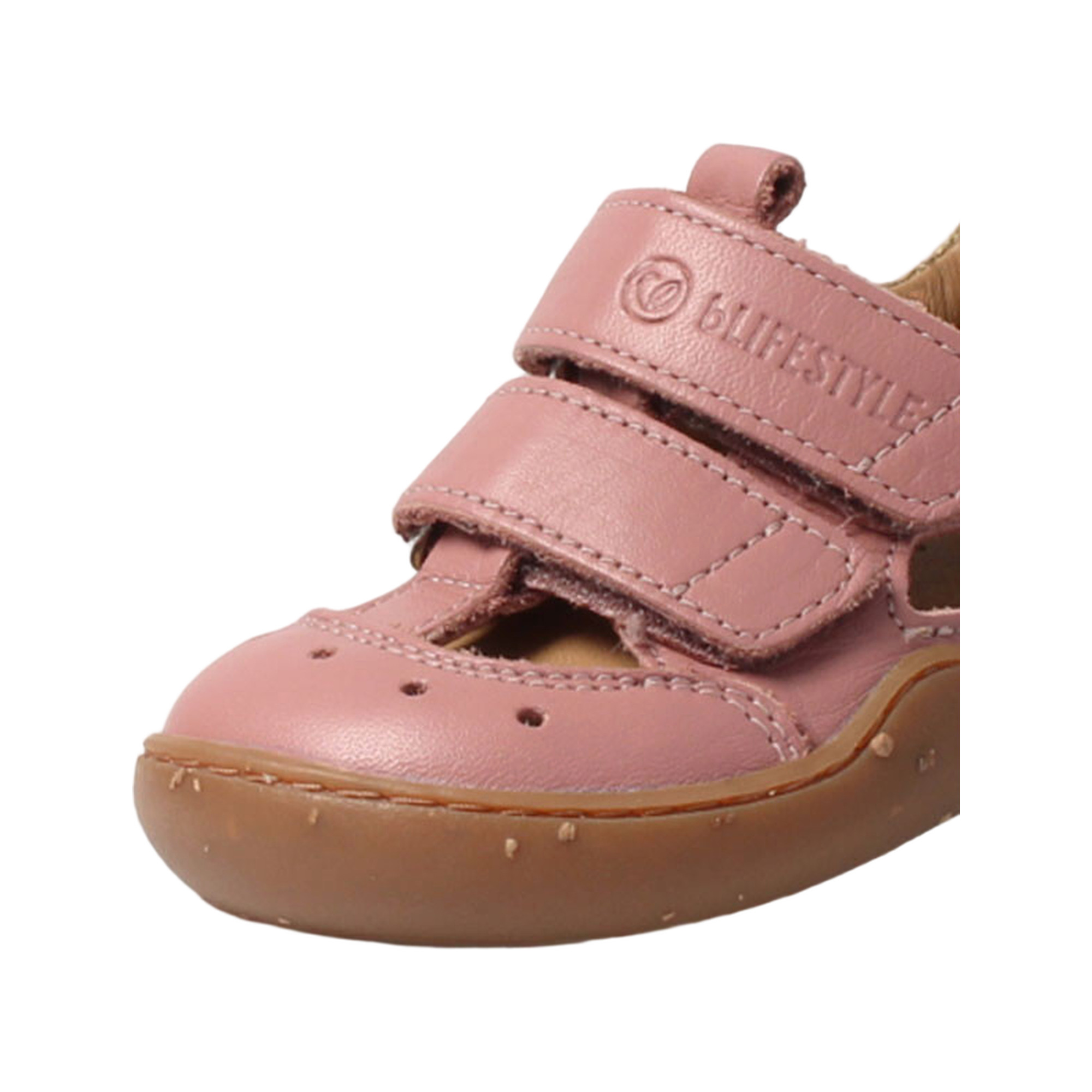bLIFESTYLE Salamandra