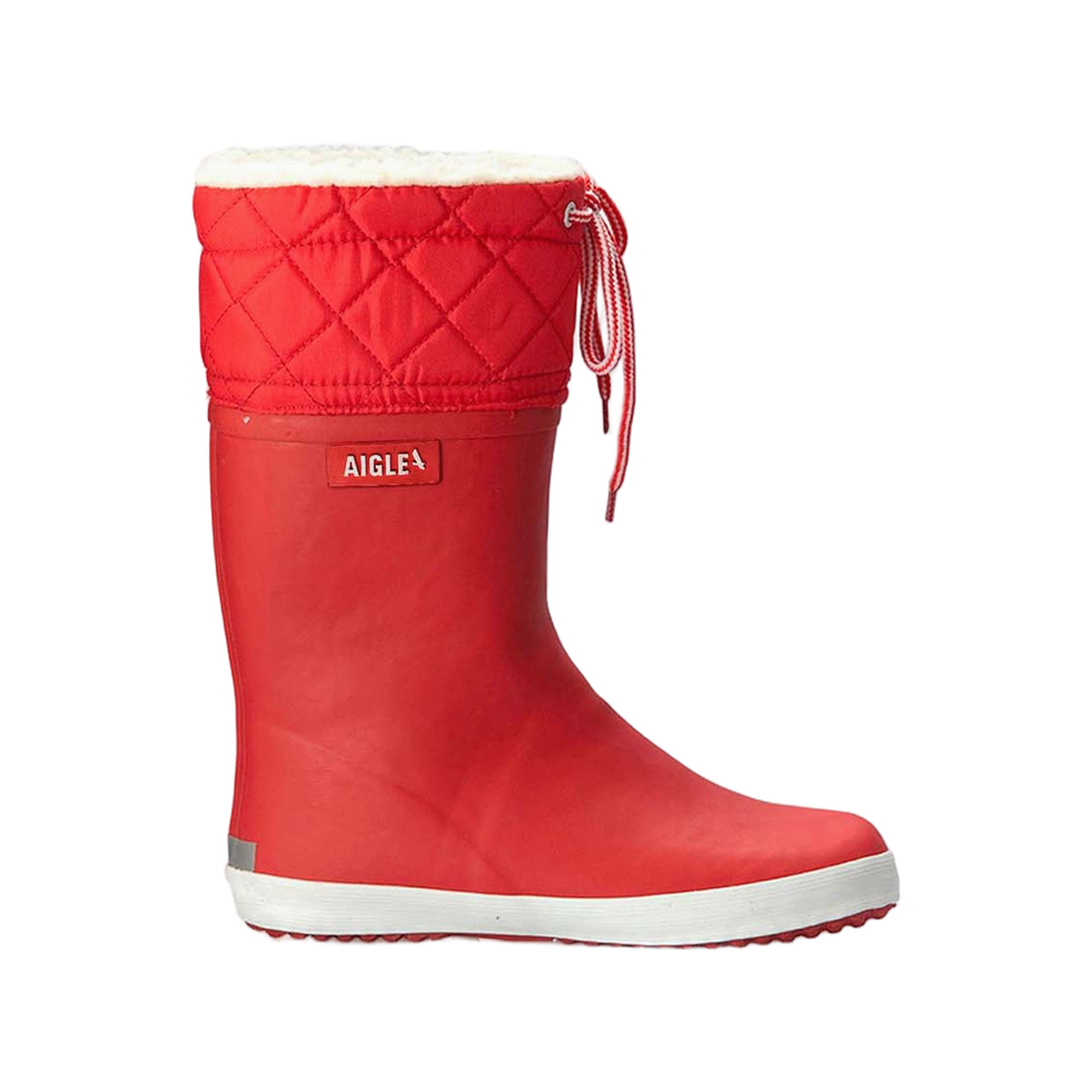 Aigle Giboulee