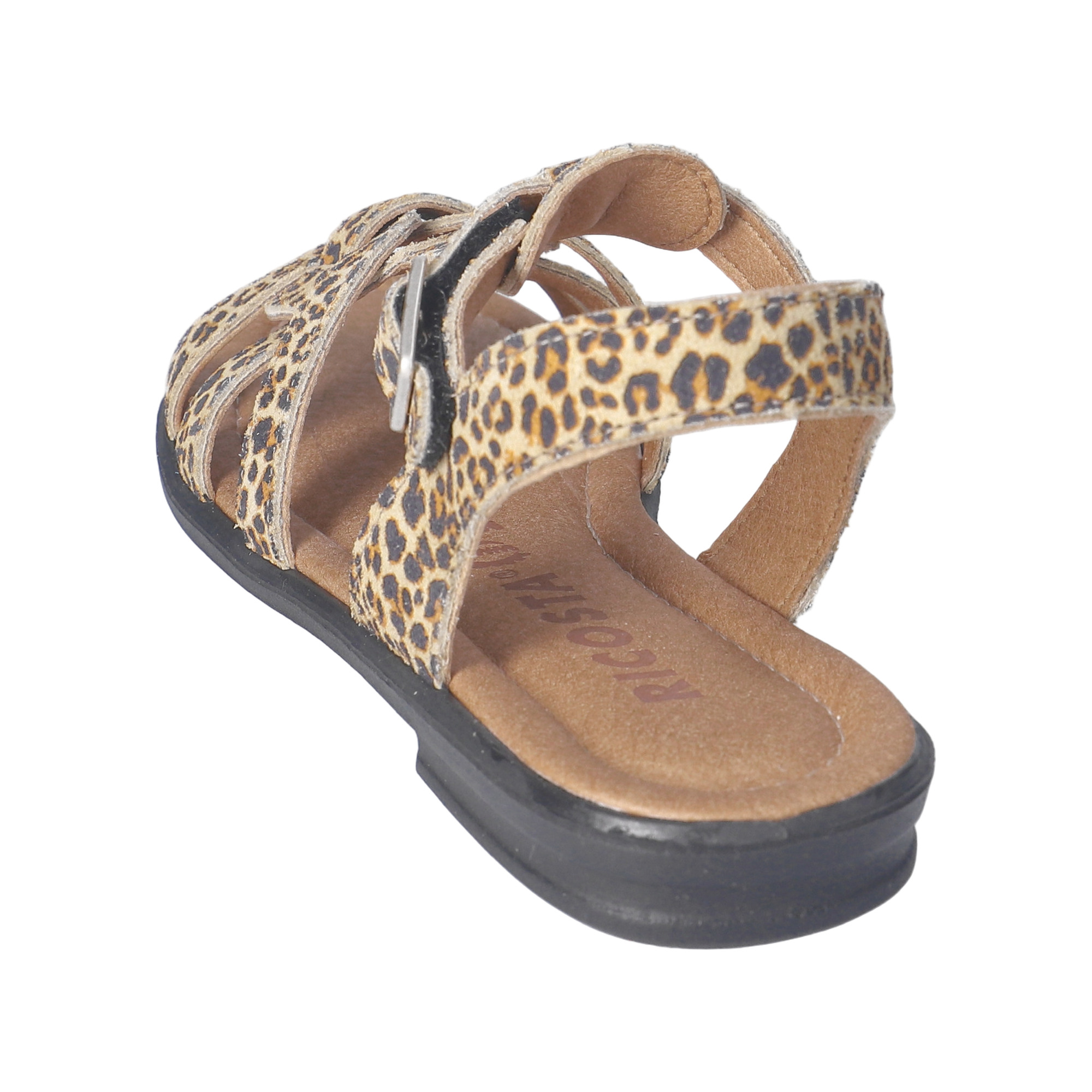 Ricosta Birte