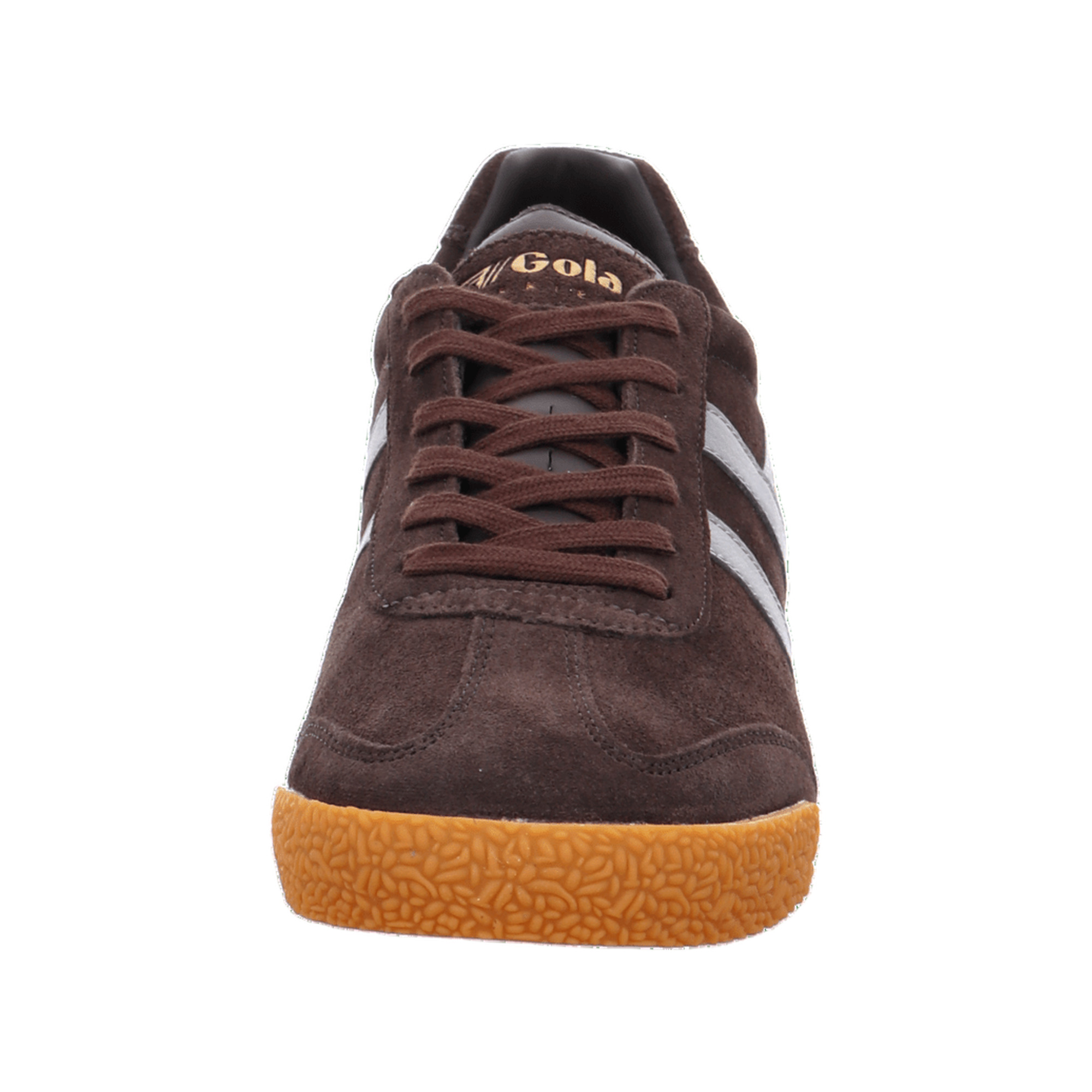 Gola Harrier