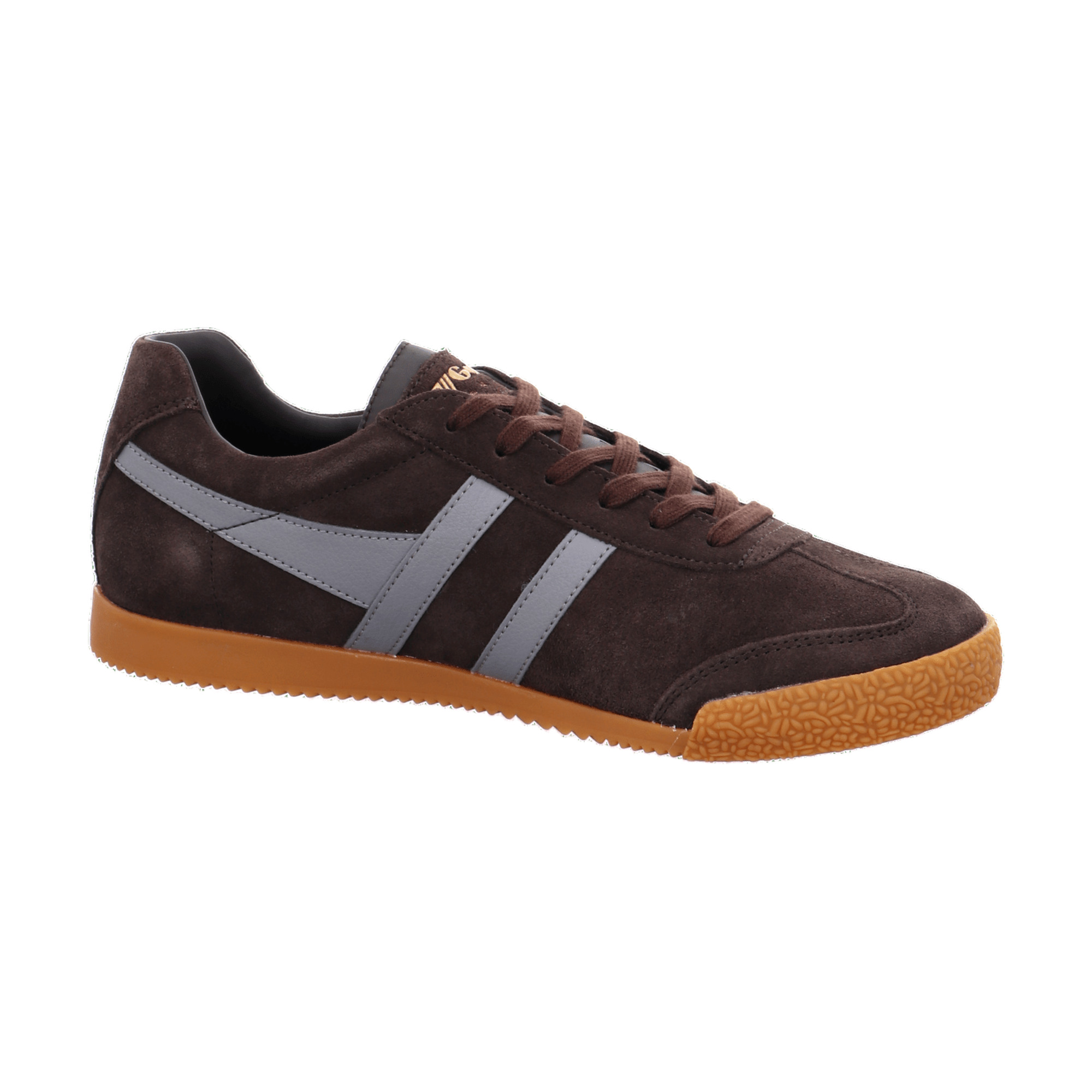 Gola Harrier