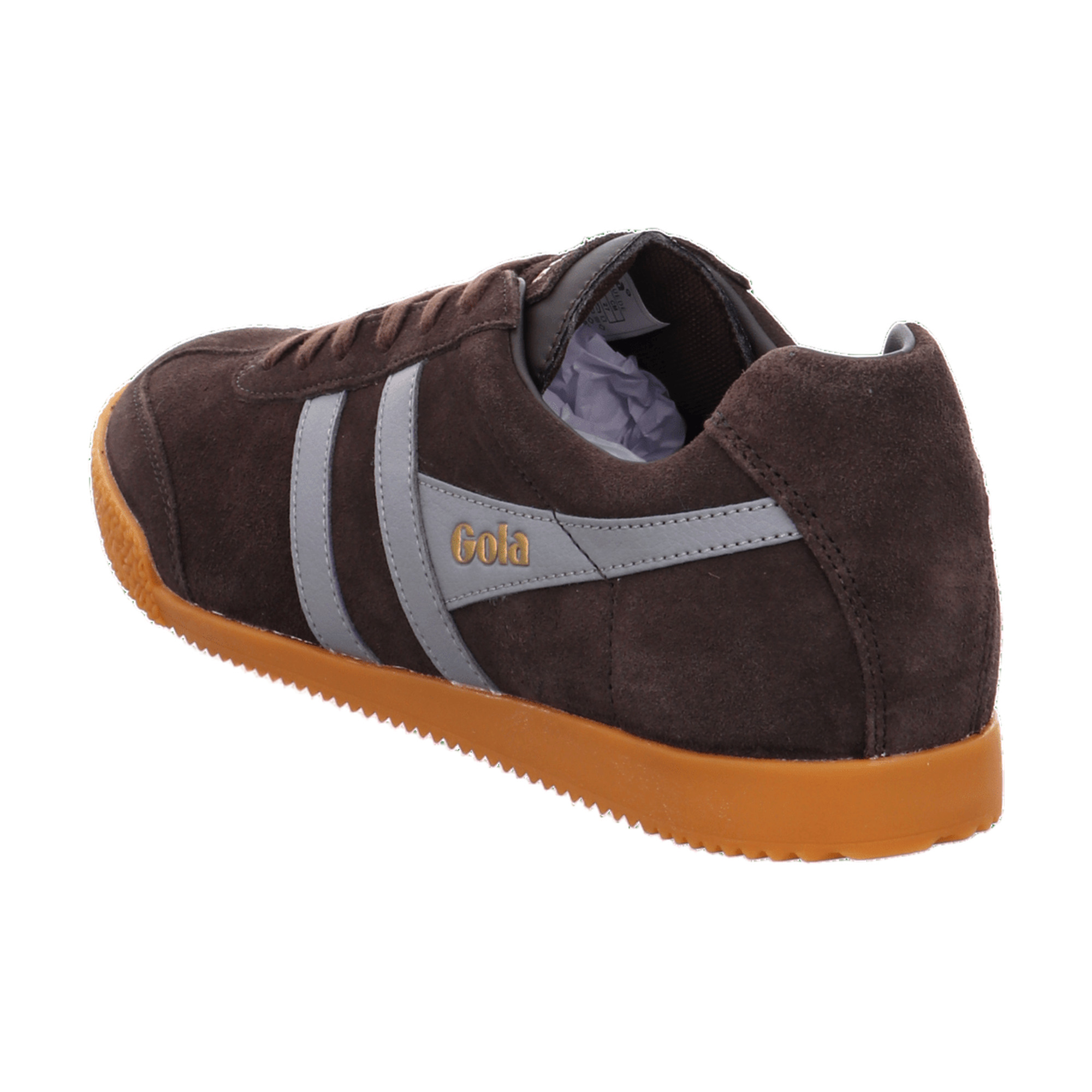 Gola Harrier