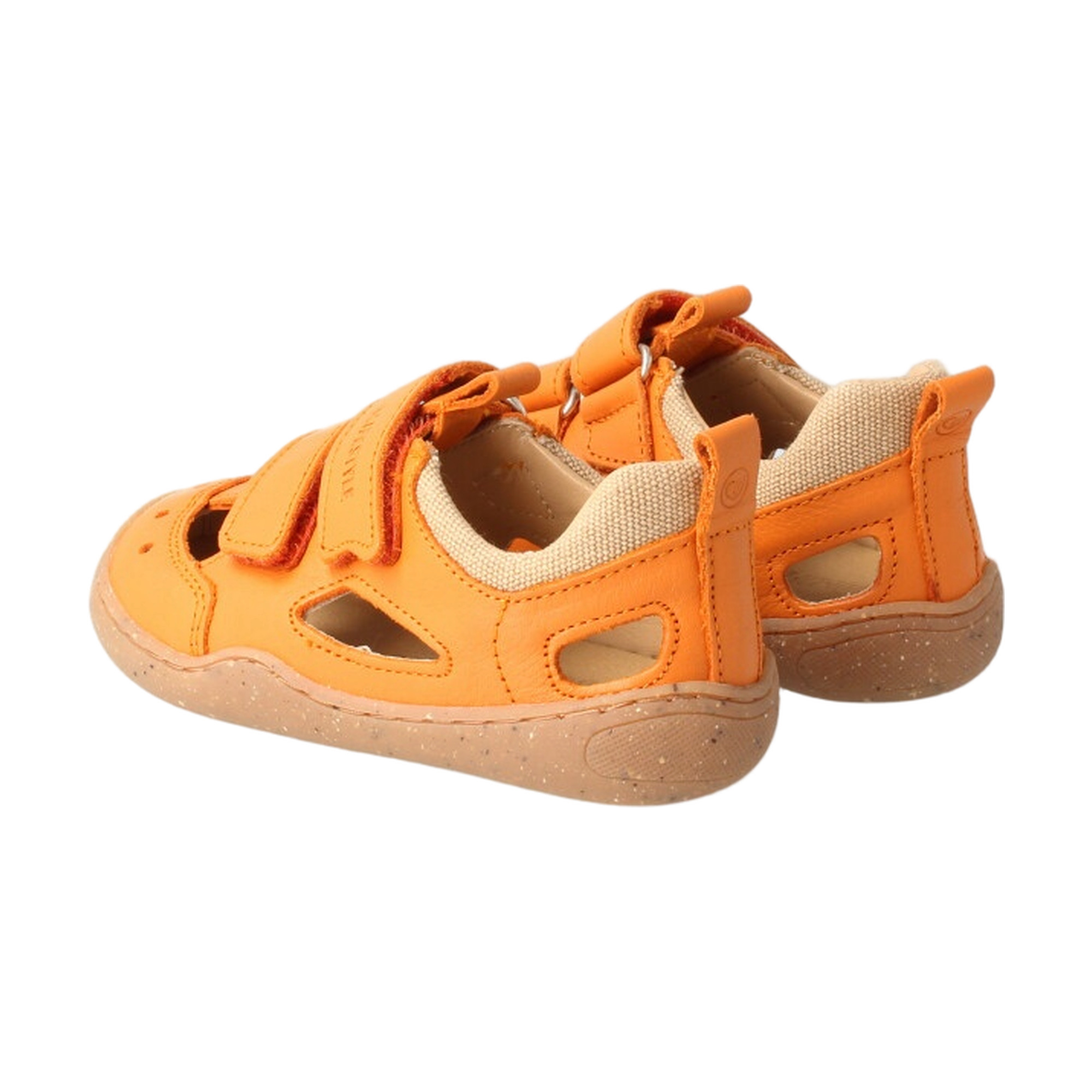 bLIFESTYLE Kammmolch