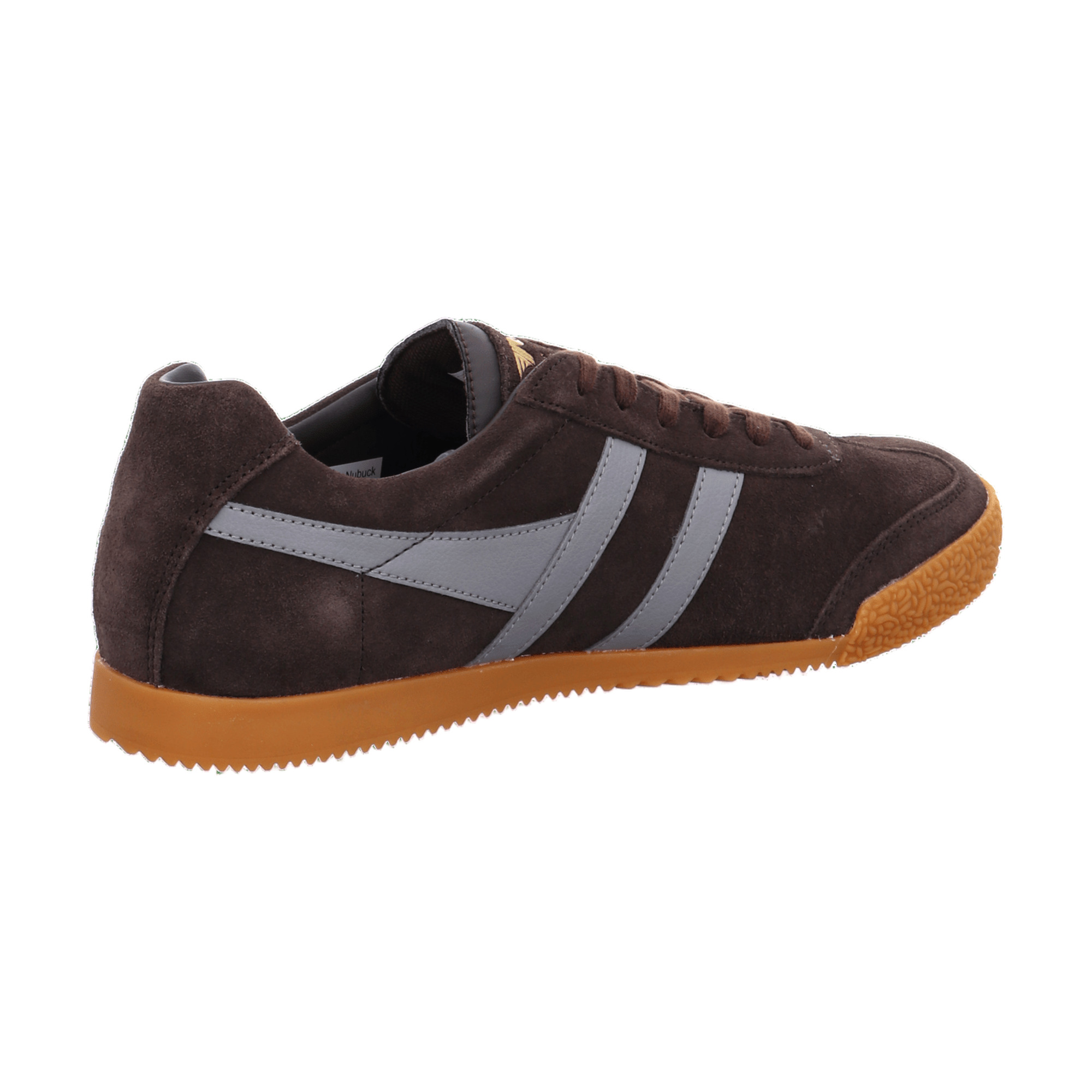 Gola Harrier