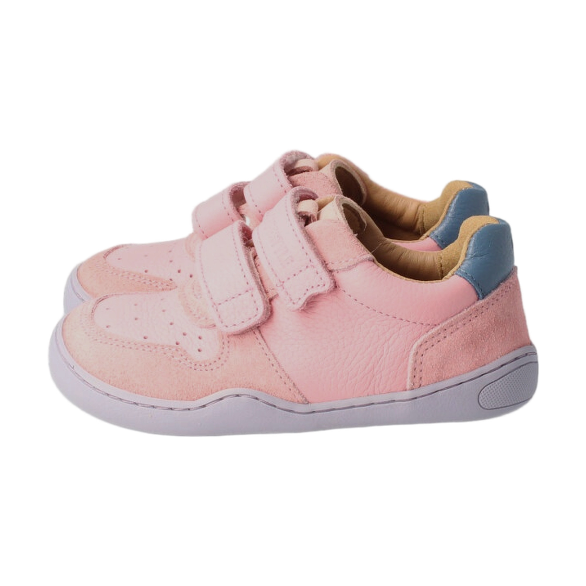 bLIFESTYLE Anurafrosch